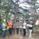 원주굽이길 1코스 가마바우길 이미지