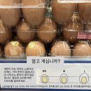 흰자 좋아하는 사람은 큰알 계란 사야됨 이미지