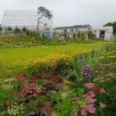 샛별농장 이미지