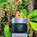 중파약국 | 코막힘 원인 찾고 끝내자