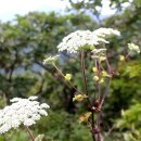 인제04-3 이미지