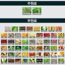 늘푸른경성약국 | 평소 속이 더부룩하고 화장실 가는게 고역이라면? 경성제약 장박사로 장 건강부터 바로 잡으세요!