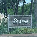 숲속의살룻 자연농원 | [국내여행]고창 상하농원 파머스빌리지 글램핑 후기 - 자연 속에서 남편과 함께한 힐링 여행