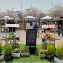 청년모종 이미지