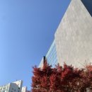 텐퍼센트커피시흥장곡점 이미지