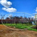 대곡농장 이미지