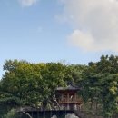 영강체육공원길 이미지