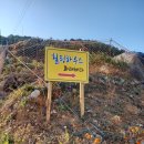 화태민박 이미지