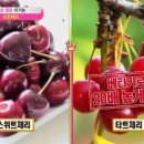 체리의 다양한 건강 효능 이미지