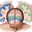 쏘굳한의원 이미지
