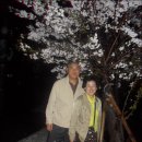 월곶회센타 이미지