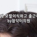 참닥터의원 이미지