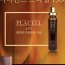 피누스스토어더에코