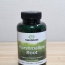 건강 허브 | 스완슨 마시멜로우 루트 500mg 후기! 목 건강과 위 건강을 위한 허브 영양제