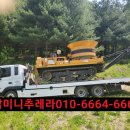합천추레라 이미지