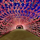 꽃빛공원 화장실 이미지