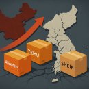 베르토코리아유한책임회사 | [뉴스락 특별기획] 알·테·쉬의 2차 공습, 한국 이커머스 지형 바꿀까