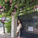 니발내발 | natrang 🏝️ (더아남, jj씨푸드, j스파)