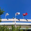 푸른초원농원 | 부산 롯데 사직야구장 3루 내야필드석A 315블럭 5열 좌석 후기(feat.뚜벅이의 1박2일 부산 여행)