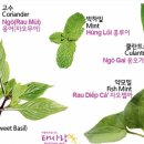 (주) 여행하우스