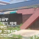 충주시 칠금동 상가부지 201평 건평47평 매매4억7천만원 이미지