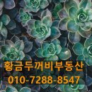 강동-길동-1503 이미지