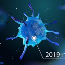 베스트의료기 이미지