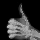 영진 자연건강 이미지