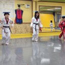 한국체대 비전태권도 이미지