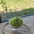 빙수목장