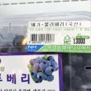 석이네횟집 - 고성군 토성로 44-12 | 석이네횟집