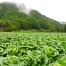 에이피텍 이미지