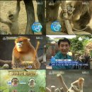 손오공농장 이미지