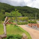 지리산정원 유아숲체험원 이미지