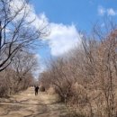 유준상사 네이버블로그