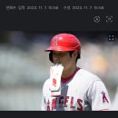 MLB) 오타니, 통산 2번째 MVP 등극 눈앞...타격 성적만으로 경쟁자 압도 이미지