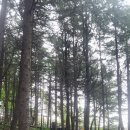 분전함 작품 이미지