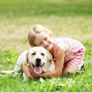 그림책으로 보는 반려동물과 보호자의 관계 | 우리 아이와 반려동물, 함께 자라며 배우는 생명 존중 교육법 (유대감, 책임감, 가족관계)