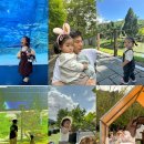 신흥농장 | [육아일기] 돌~두돌 경기남부/서울 아기랑 가볼만 한 곳 정리 (실내, 야외, 카페, 키즈룸)