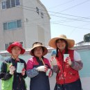 군산명화학교 이미지