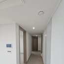 동일지물포 - 양천구 중앙로29길 29-1 | 고등동 수원역푸르지오자이 114A㎡ 도배시공 개나리벽지 54160-1, 2대째 가족운영 대성벽지1987
