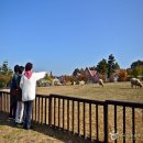 새마음목장 이미지