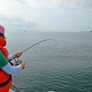 (주)황금바다 이미지