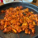 달빛 찬란한 밤 펼쳐진 별들의 불꽃놀이
