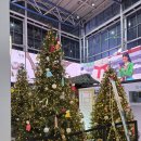 청춘 책방(책 한그릇) | 부산여행 첫 스텝, 이바구길&amp;보수동 책방골목 산책을 시작으로 깡통시장 떡볶이 투어까지!