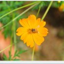 (주)디에이치에스건설 이미지