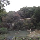 서울대학교 농업생명 과학대학 관악수목원 이미지