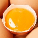 (주)케이지환경 | 산지톡 난각번호1번 계란 공구하고 후회한 후기