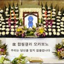 잡담 이미지
