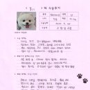 1428 | [#1428] 봄이(양측 고관절 대퇴골두 절제술)의 수술후기